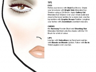 thumbs 6007891 MAC Face Charts