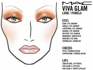 thumbs 6008073 MAC Face Charts