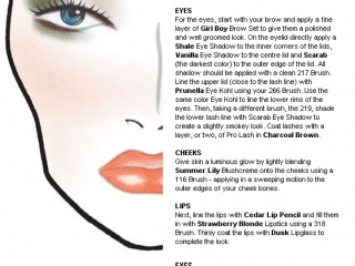 thumbs 6008162 MAC Face Charts