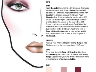 thumbs 6008189 MAC Face Charts