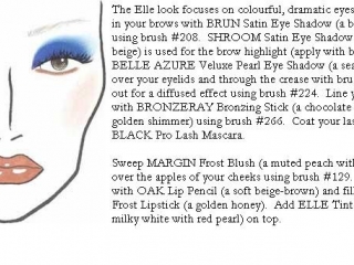 thumbs 6011983 MAC Face Charts